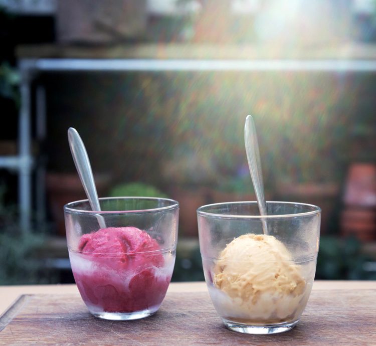 0010 - 2014 - Gees Restaurant & Bar - Oxford - High Res - Food Ice Cream Sorbet - Web Feature